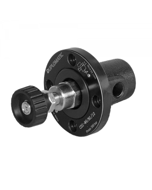 DUPLOMATIC CD1-W6/M1/10